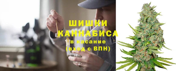 прущие грибы Волоколамск