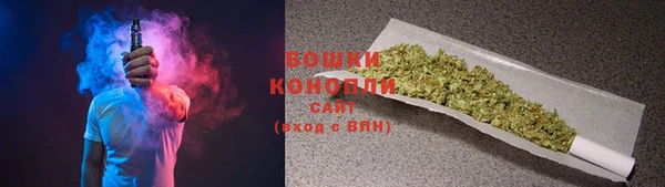 прущие грибы Волоколамск