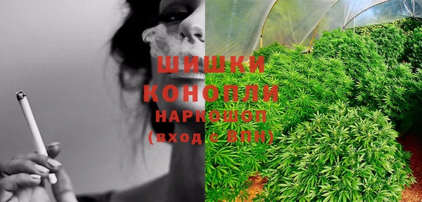 PSILOCYBIN Бугульма