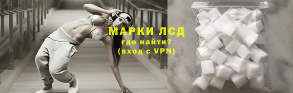 тгк Бородино