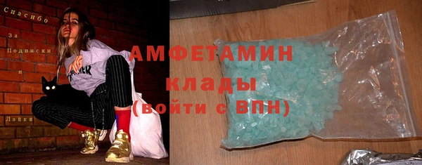 прущие грибы Волоколамск