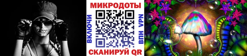 Псилоцибиновые грибы мицелий  где найти   Заволжск 