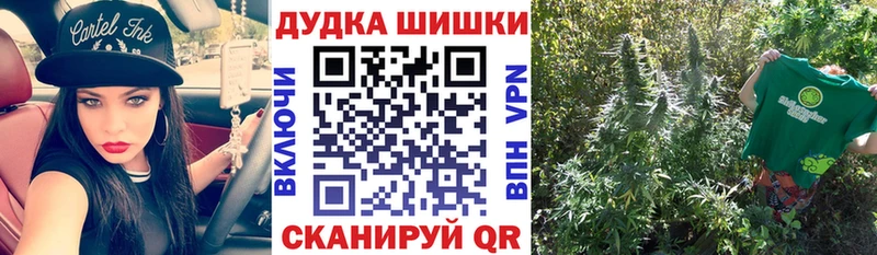 kraken вход  Заволжск  Конопля Bruce Banner 